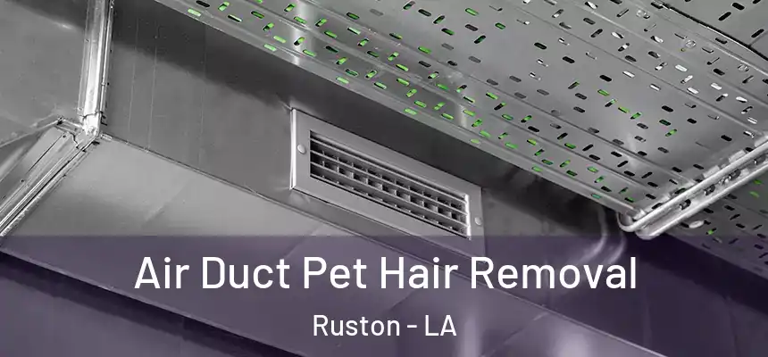  Air Duct Pet Hair Removal Ruston - LA