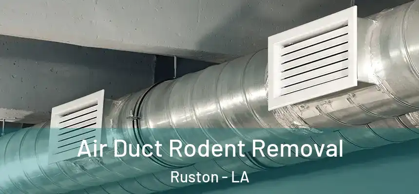 Air Duct Rodent Removal Ruston - LA