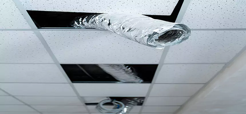 Affordable HVAC Sanitizing After Pest Removal in Ruston