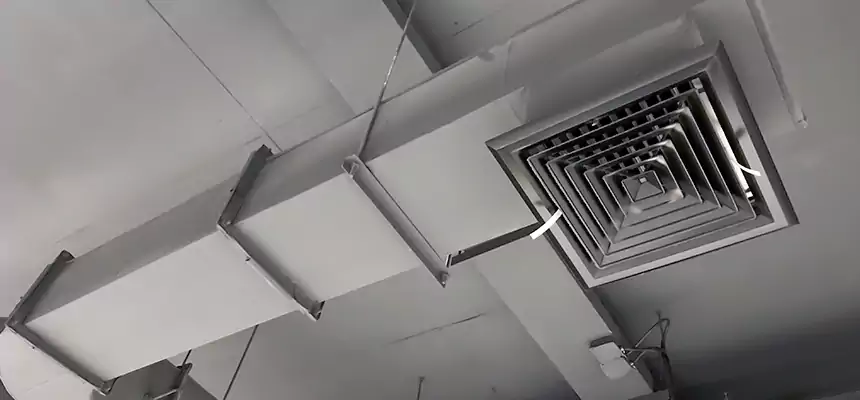 Our Pest Removal From Ducts Services in Ruston, LA