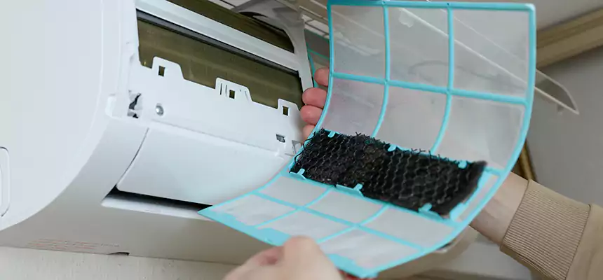 Gentle Ductwork Odor-Control Pet Dander Duct Cleaning in Ruston, LA