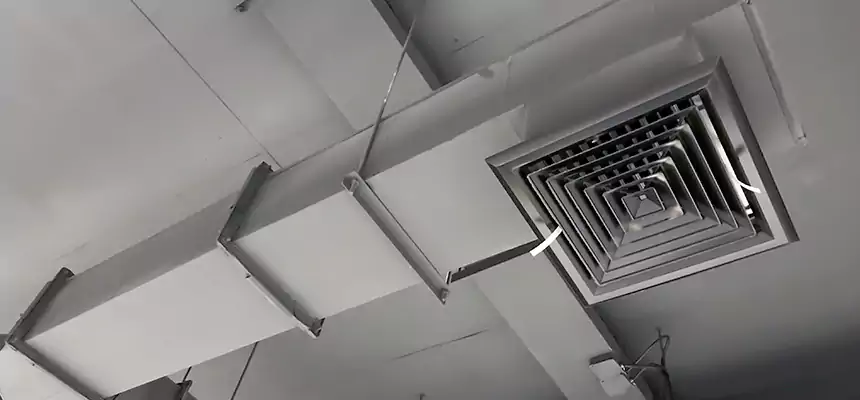 Our Rodent Droppings In Vents Services in Ruston, LA