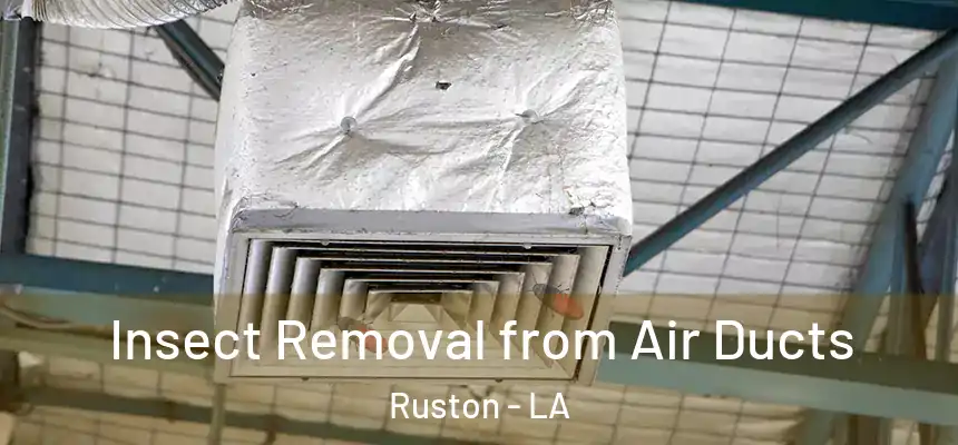 Insect Removal from Air Ducts Ruston - LA