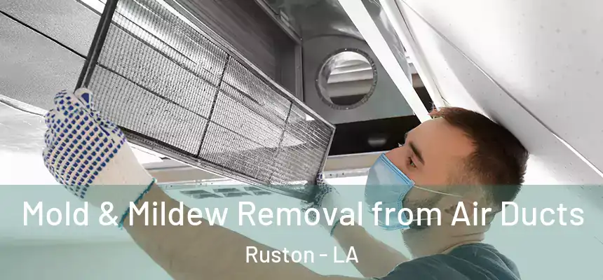Mold & Mildew Removal from Air Ducts Ruston - LA