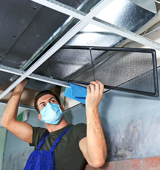 About Air Duct Bacteria Removal in Ruston