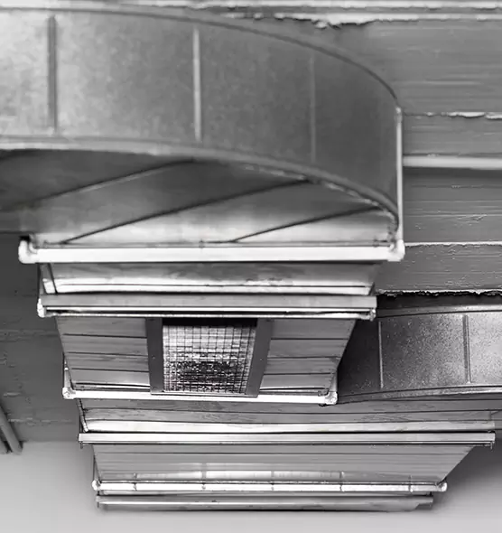 Professional Air Duct Pet Hair Removal in Ruston, LA