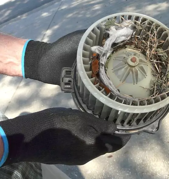 About Air Duct Rat Removal in Ruston, LA