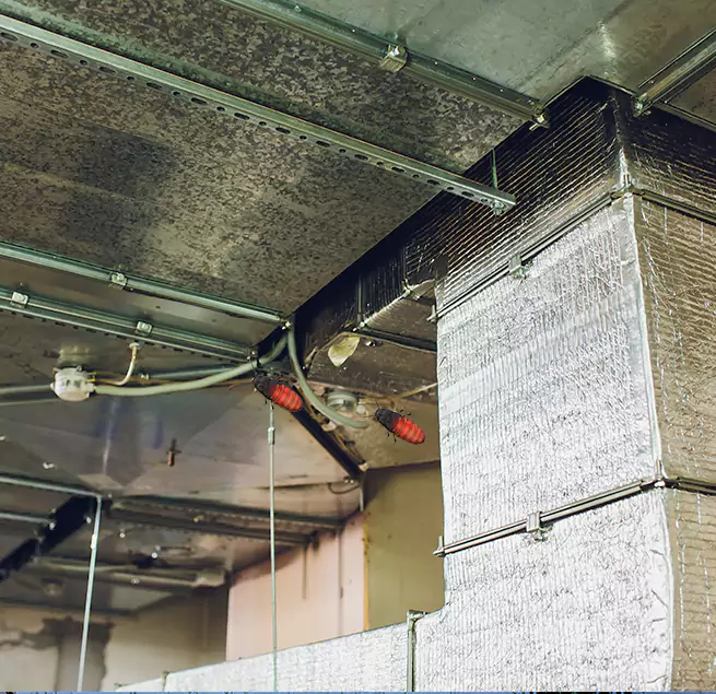 Why Homeowners & Businesses Trust Us in Ruston, LA?