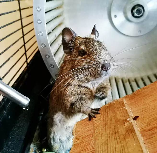 Why Homeowners & Businesses Trust Us Ruston, LA?