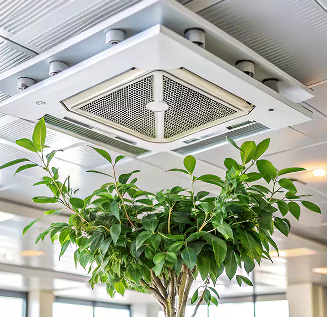 Why Homeowners & Businesses Trust Us in Ruston, LA?