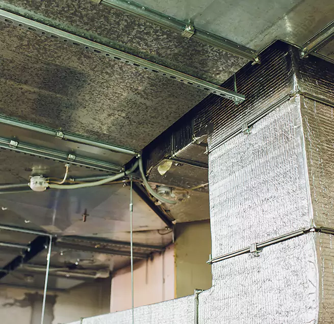 Why Homeowners & Businesses Trust Us in Ruston, LA?